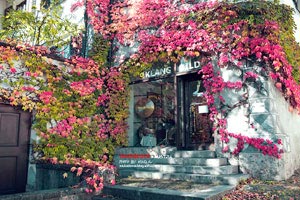 荷兰球队取胜领先，成功晋级欧冠八强战