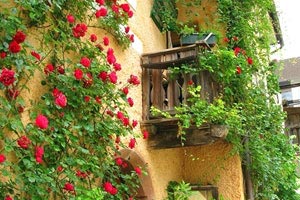 韩国队获得羽毛球女团冠军