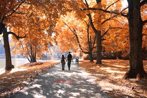 曼城前场火力全开，雪中送炭连下三城