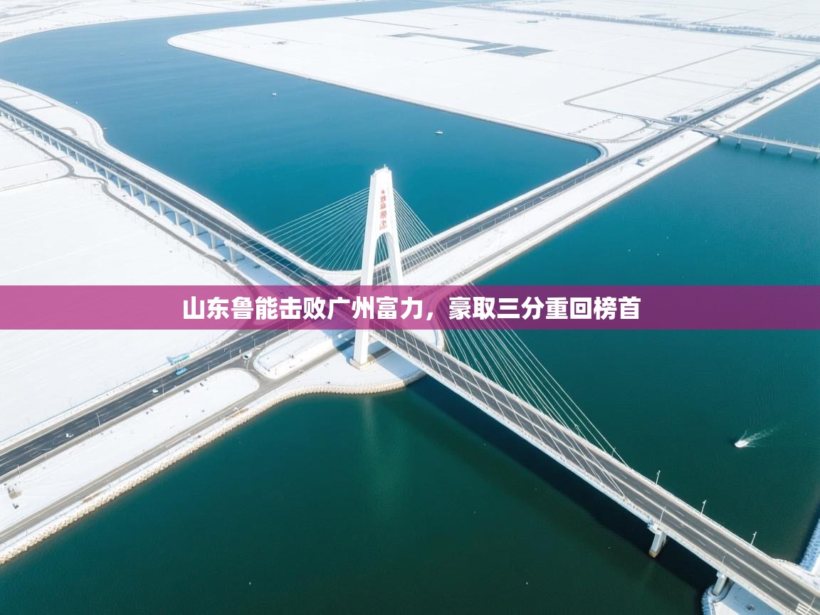 山东鲁能击败广州富力，豪取三分重回榜首  第1张