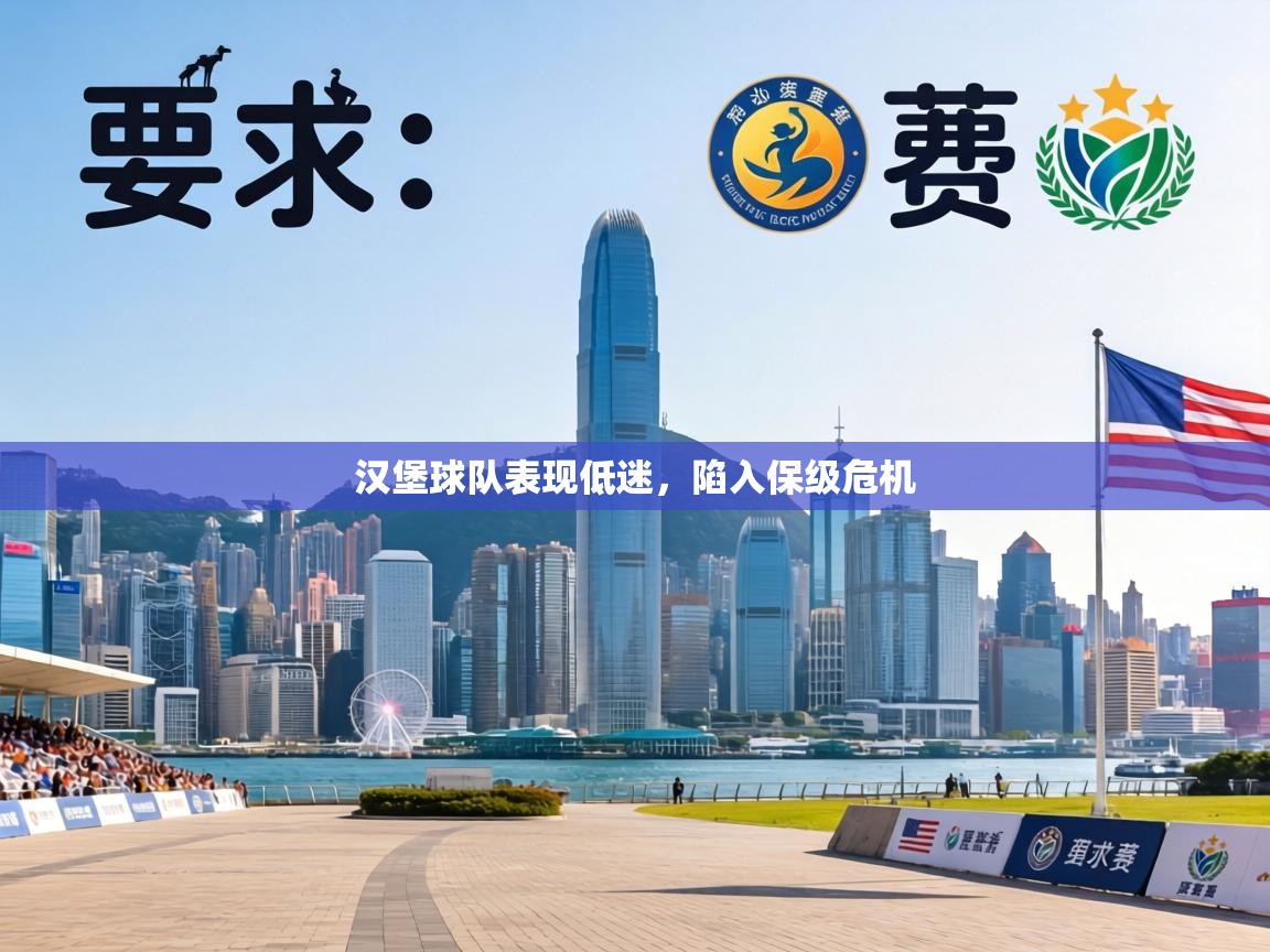 汉堡球队表现低迷，陷入保级危机  第1张