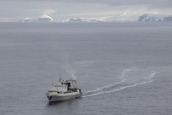 九游体育-谨慎从事，伊斯兰堡队击败强手的简单介绍