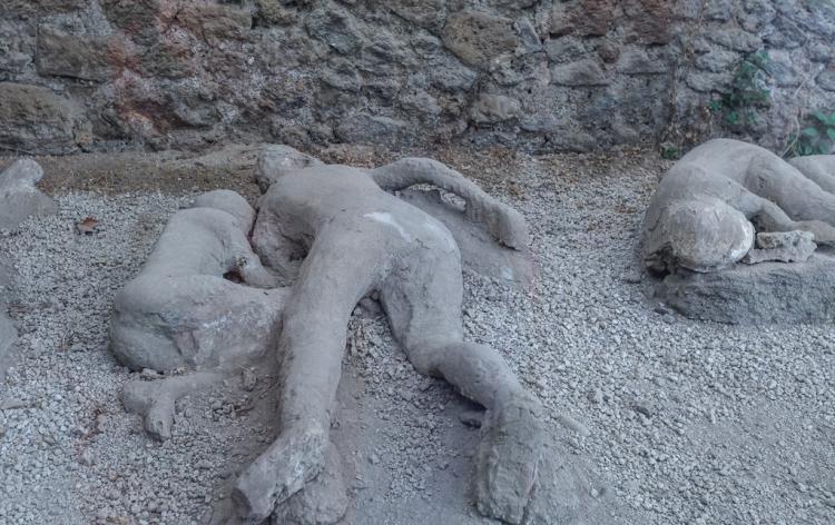 罗马城内主场告捷，碾压对手的简单介绍