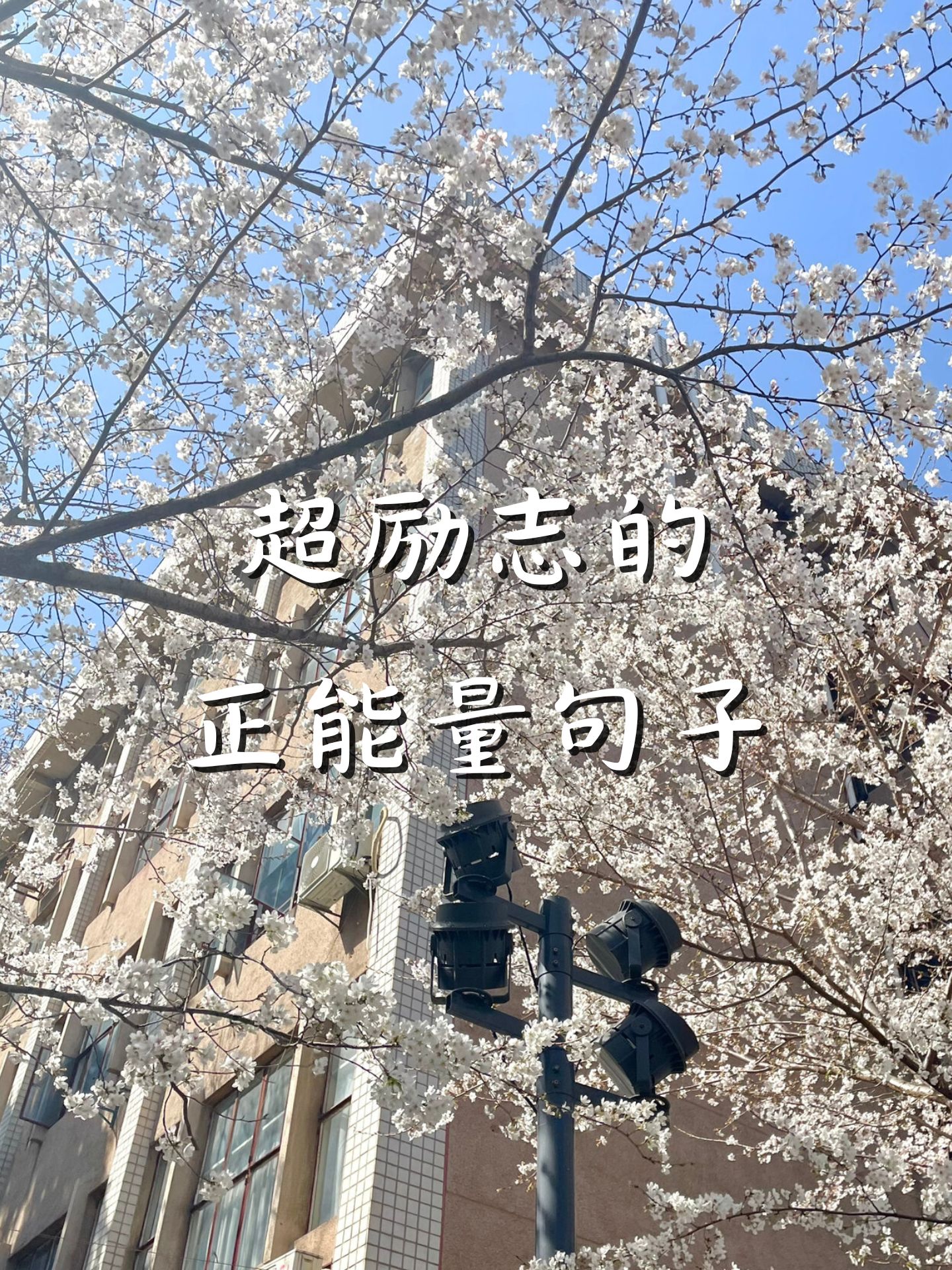 九游体育登录-一场胜利的背后，是无数的训练和努力