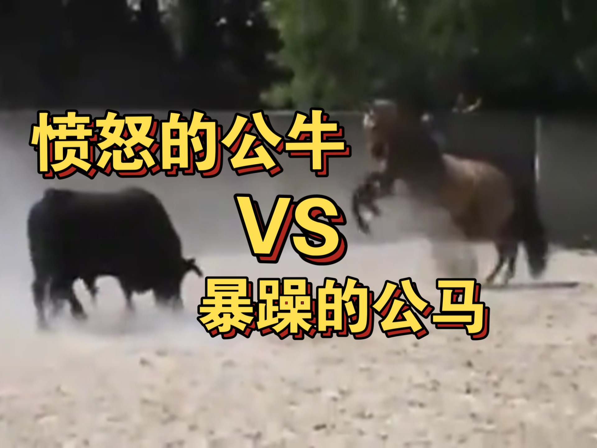 公牛客场险胜雄鹿,实现逆袭击败强敌!的简单介绍 公牛客场险胜雄鹿,实现逆袭击败强敌!的简单介绍